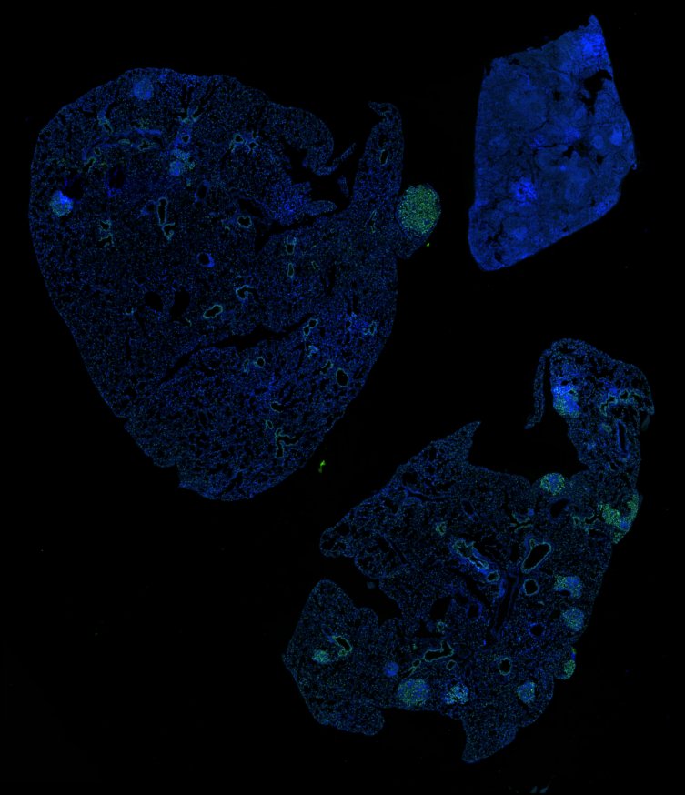 Thumbnail for gaglia-mit-ludwig-2020