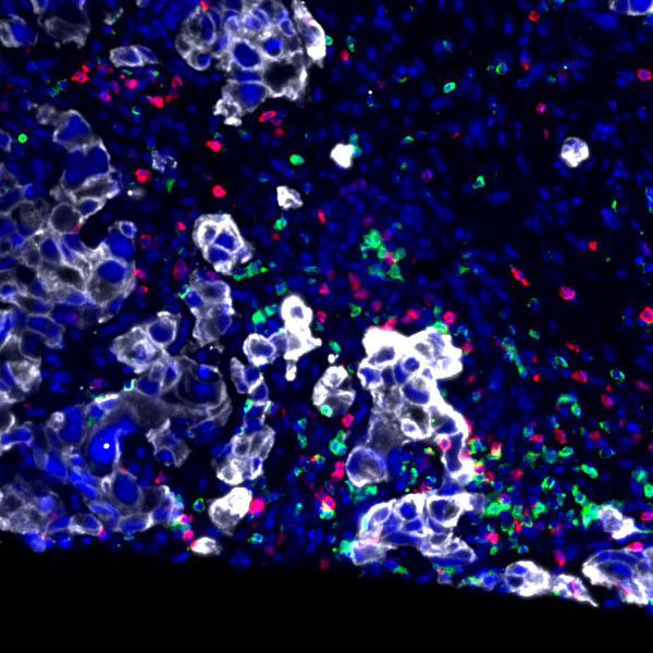 Thumbnail for Keenan-2020